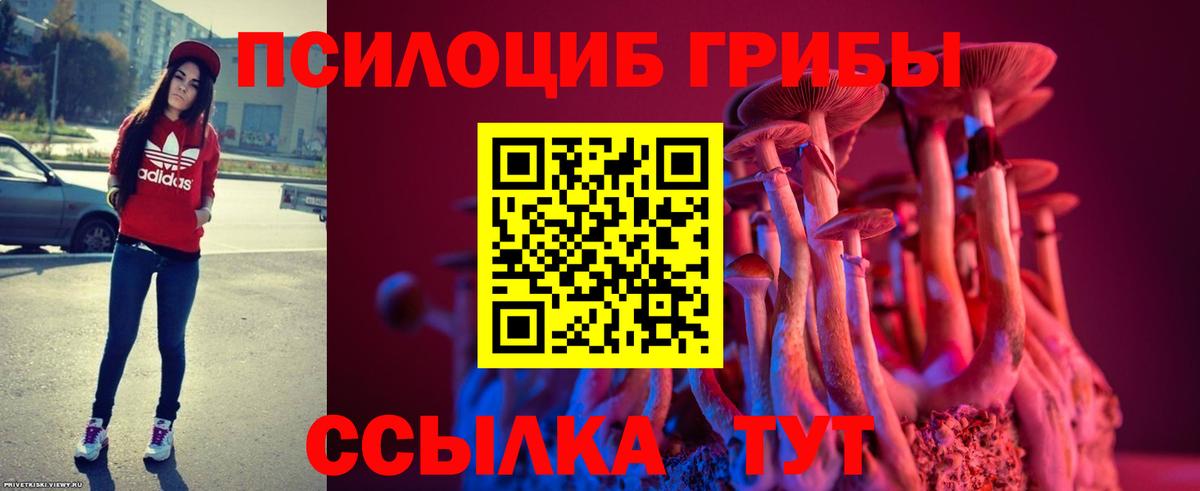 Псилоцибиновые грибы Psilocybine cubensis  Вход с VPN  Мценск 